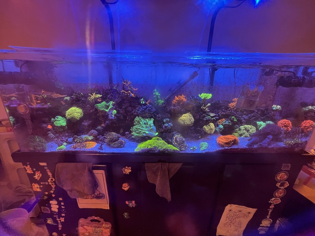 Peninsula Aqua Care - Photo 2