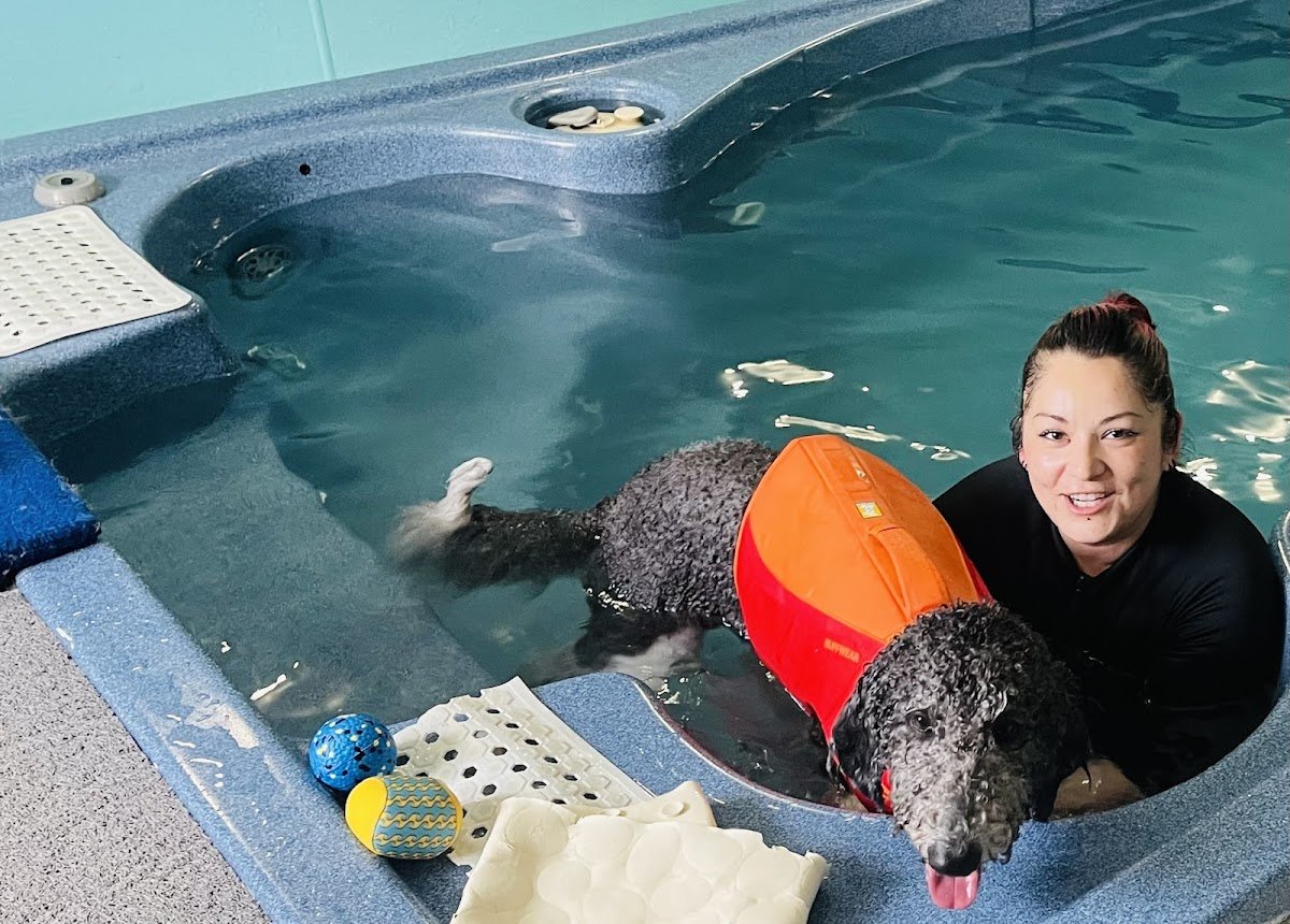 Berkeley Dog & Cat Hospital - Photo 2