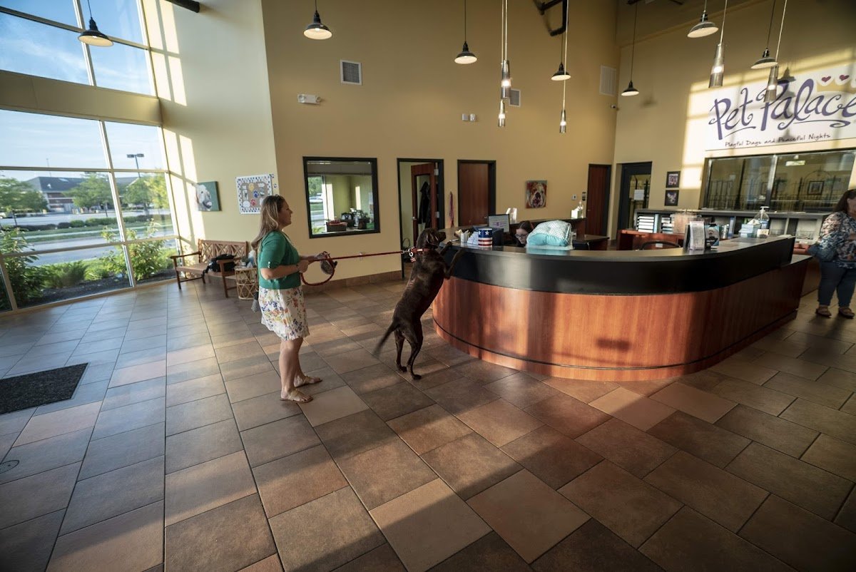 Pet Palace - Fishers - Photo 2