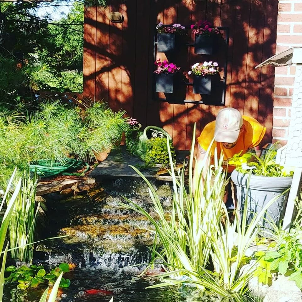 Goldfish Gardens - Photo 2