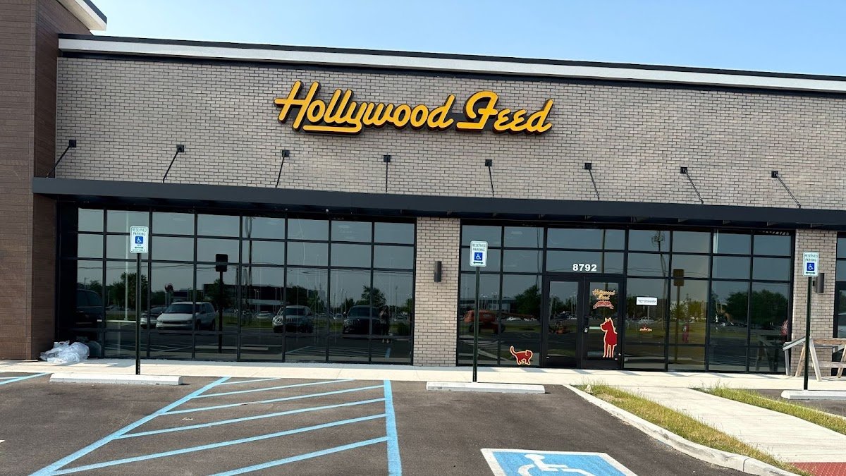 Hollywood Feed - Photo 2