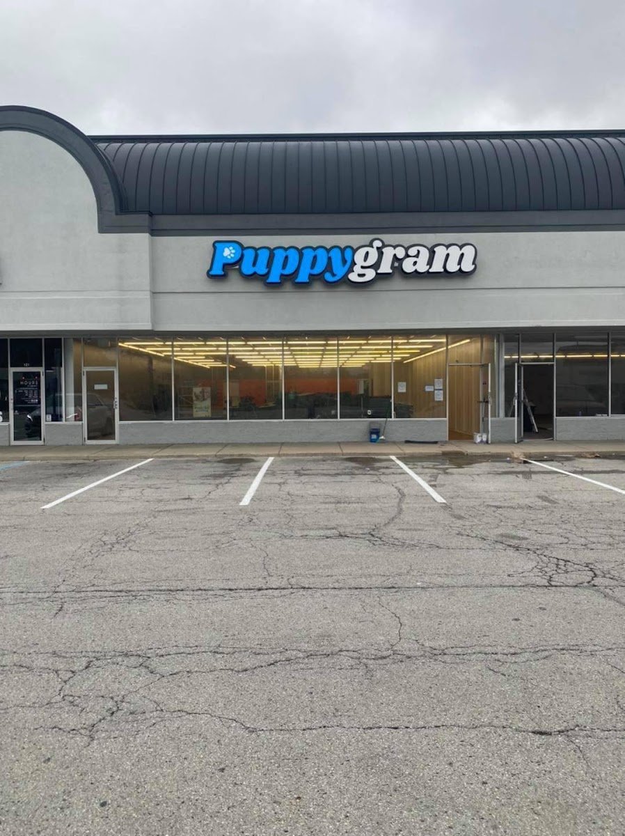 Puppygram Indiana - Photo 2