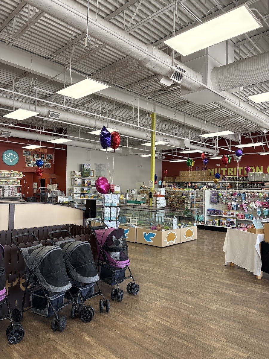 Petland Westfield/Carmel - Photo 2