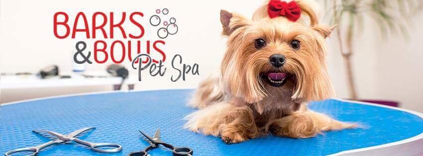 Barks & Bows Pet Spa - Photo 2