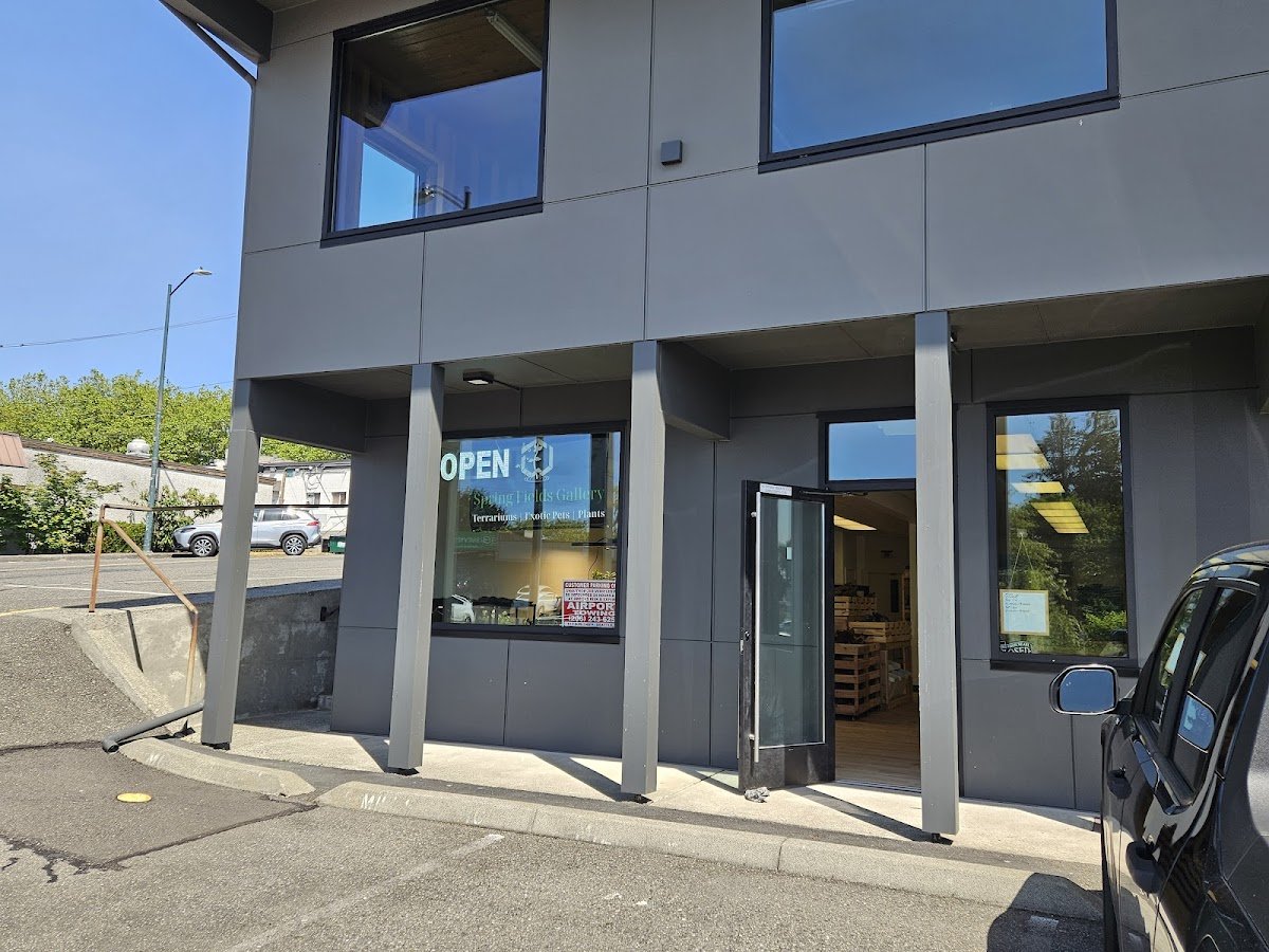 Paws Up Pet Grooming - Photo 2