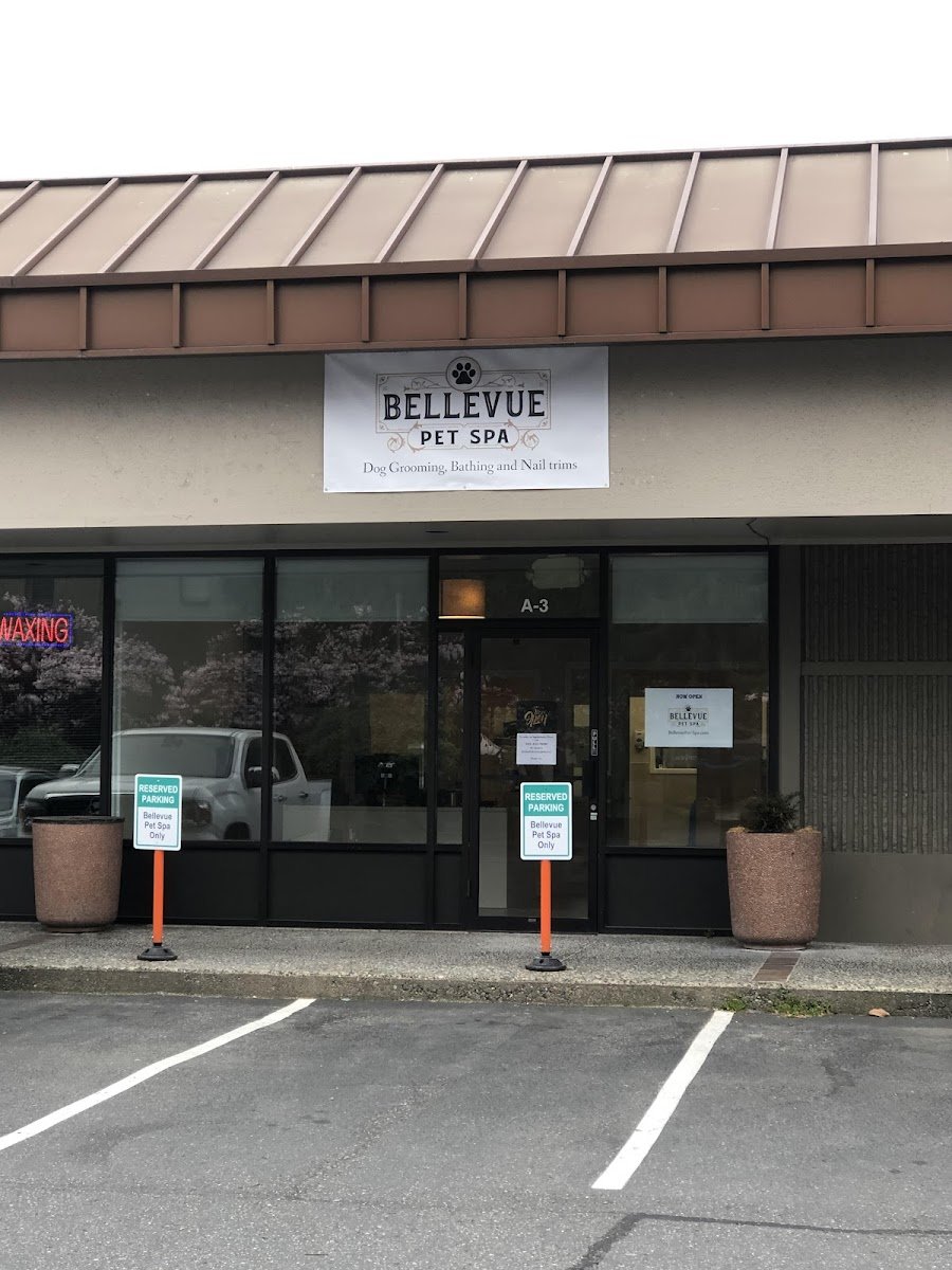 Bellevue Pet Spa - Photo 2