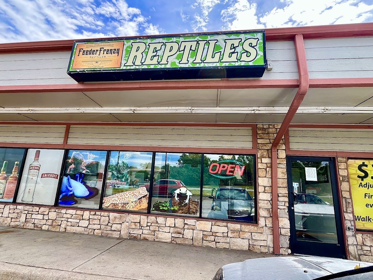 Feeder Frenzy Reptiles - Photo 2