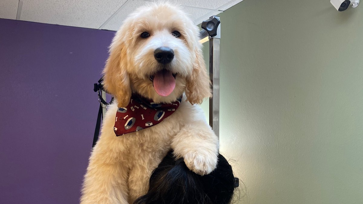 Rays Tank (Exotic Freshwater Fish Store) - Photo 2