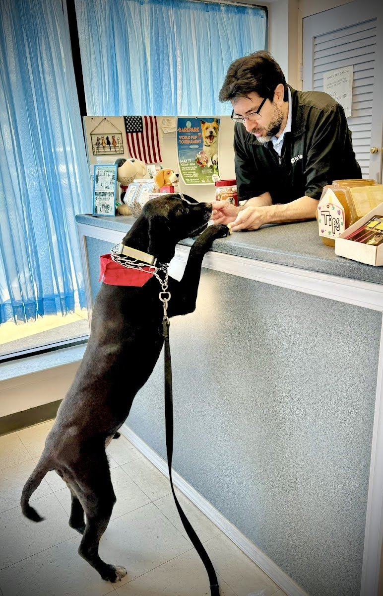 Gigi's Pet Salon - Photo 2