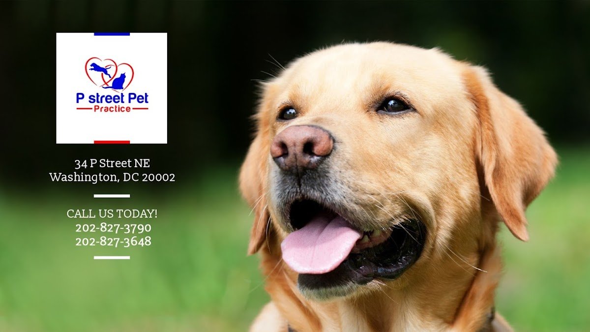 Petco - Photo 2