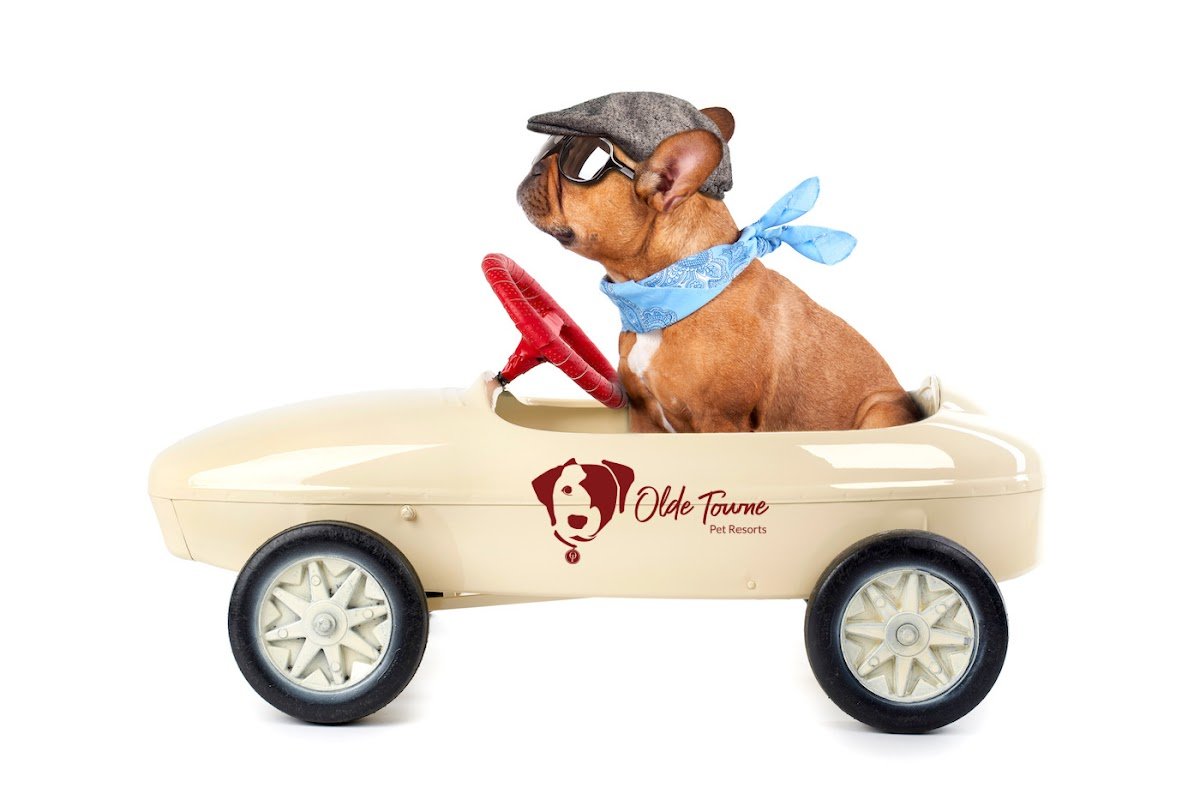 Olde Towne Pet Resort - Photo 2