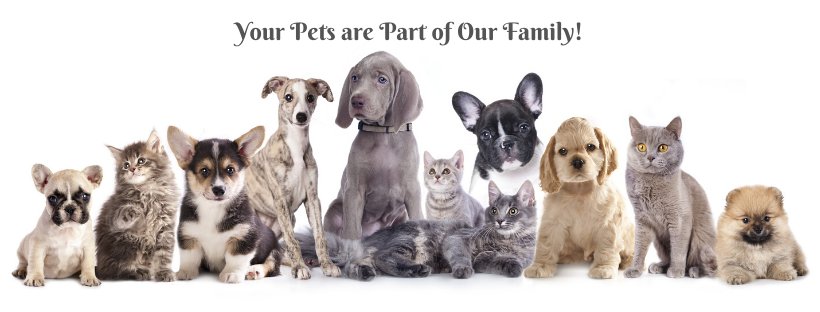 Cambridge Veterinary Care - Photo 2