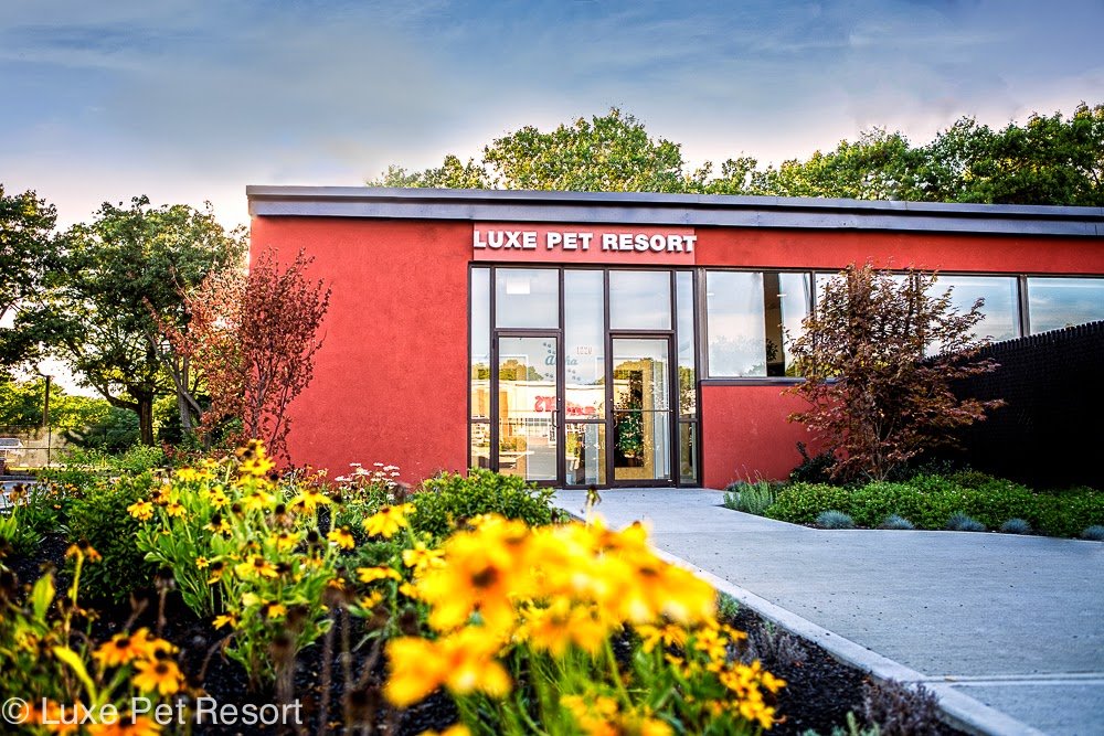 Luxe Pet Resort - Photo 2