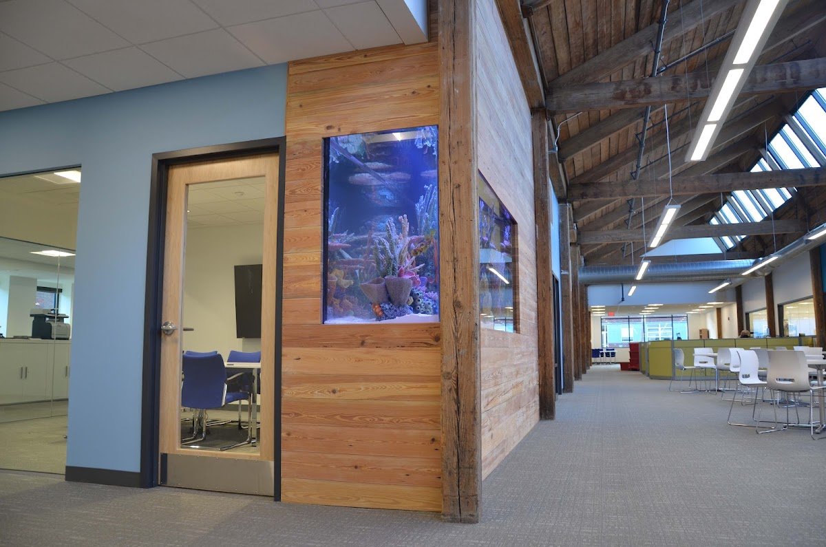 Boston Aquariums - Photo 2