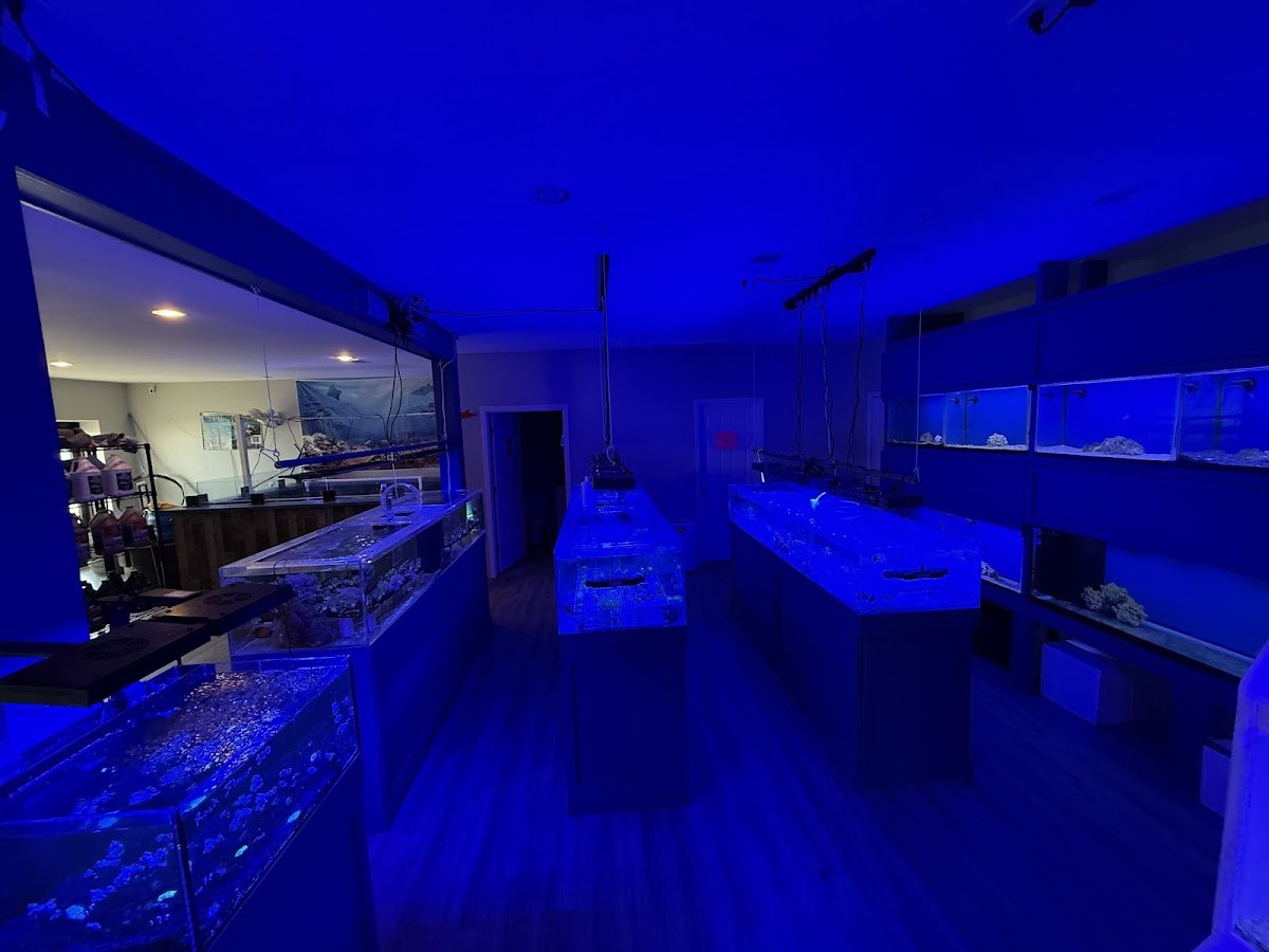 Swans Ponds and Aquatics, LLC - Photo 2