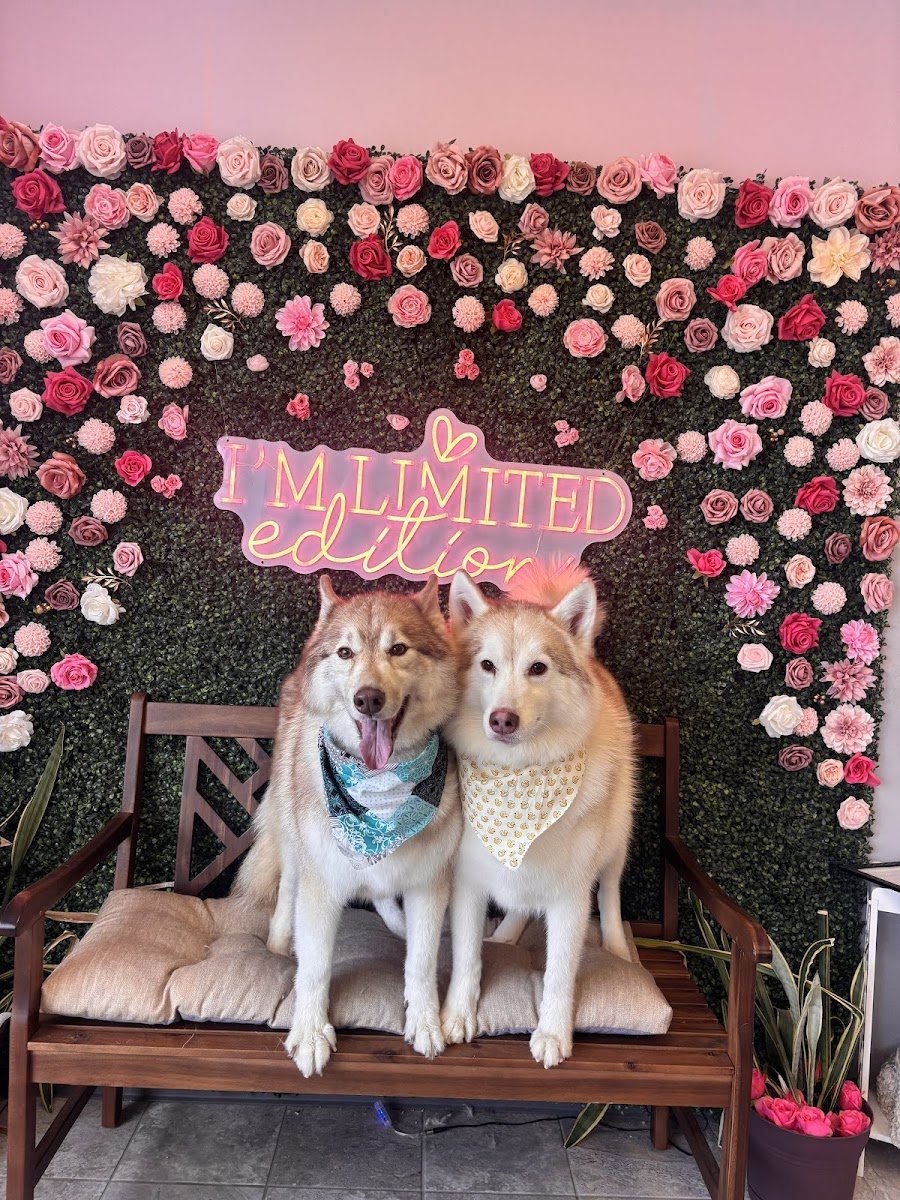 Pinky’s Pet Salon - Photo 2