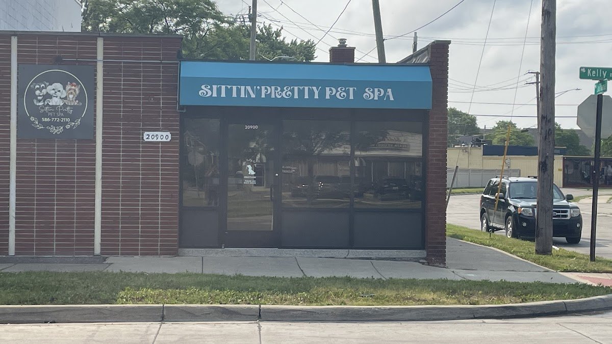 Sittin' Pretty Pet Spa - Photo 2