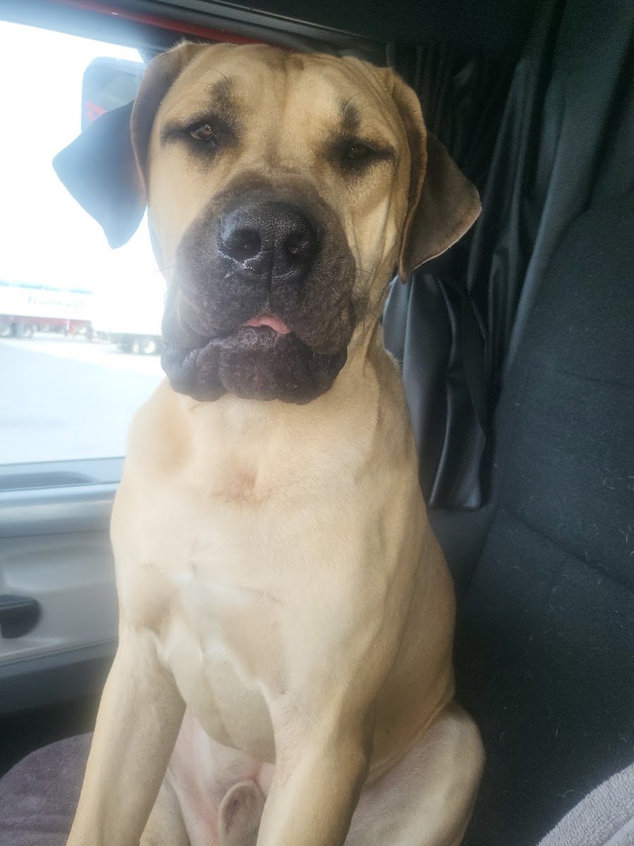 Pet Valu - Photo 2