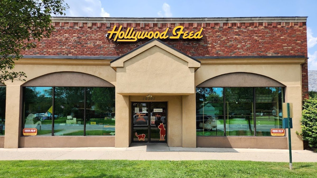 Hollywood Feed - Photo 2