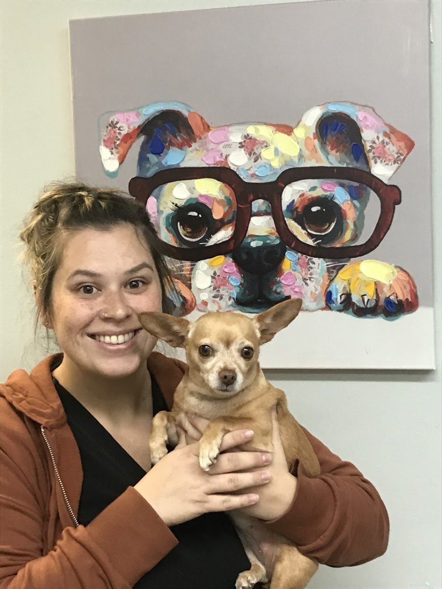 PetSmart - Photo 2