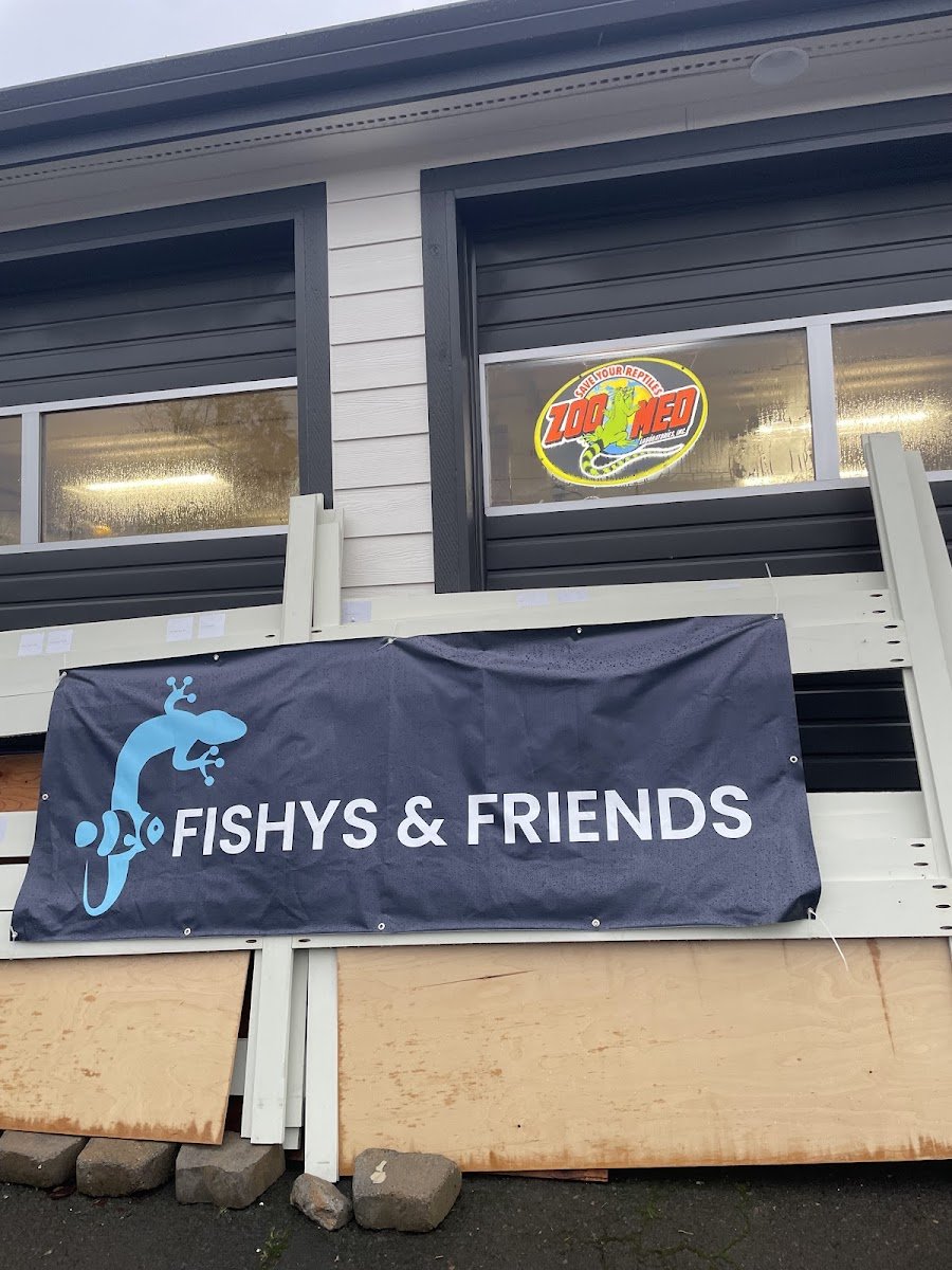 Fishys & Friends - Photo 2