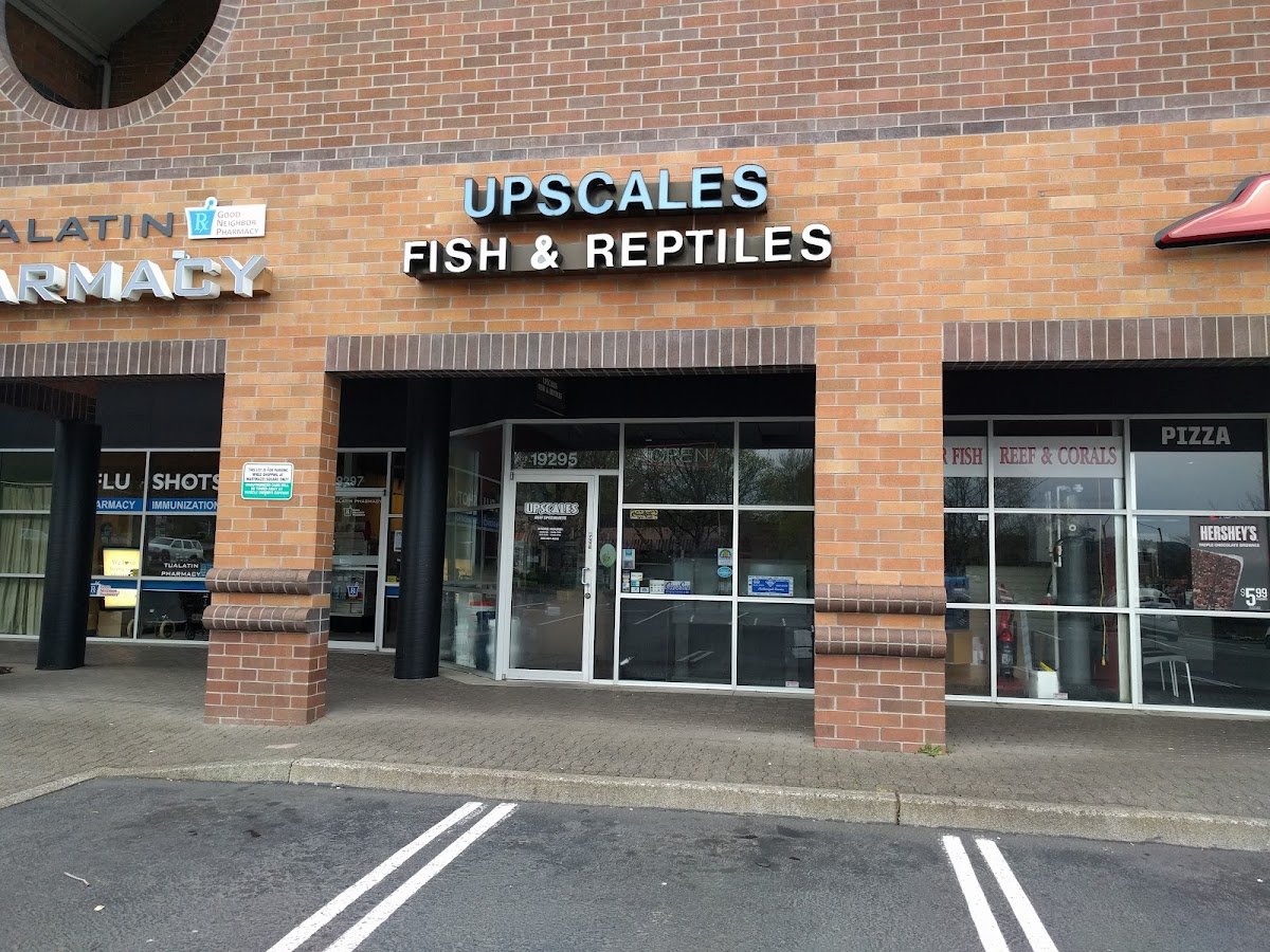 Original Pet Stop Grooming - Photo 2