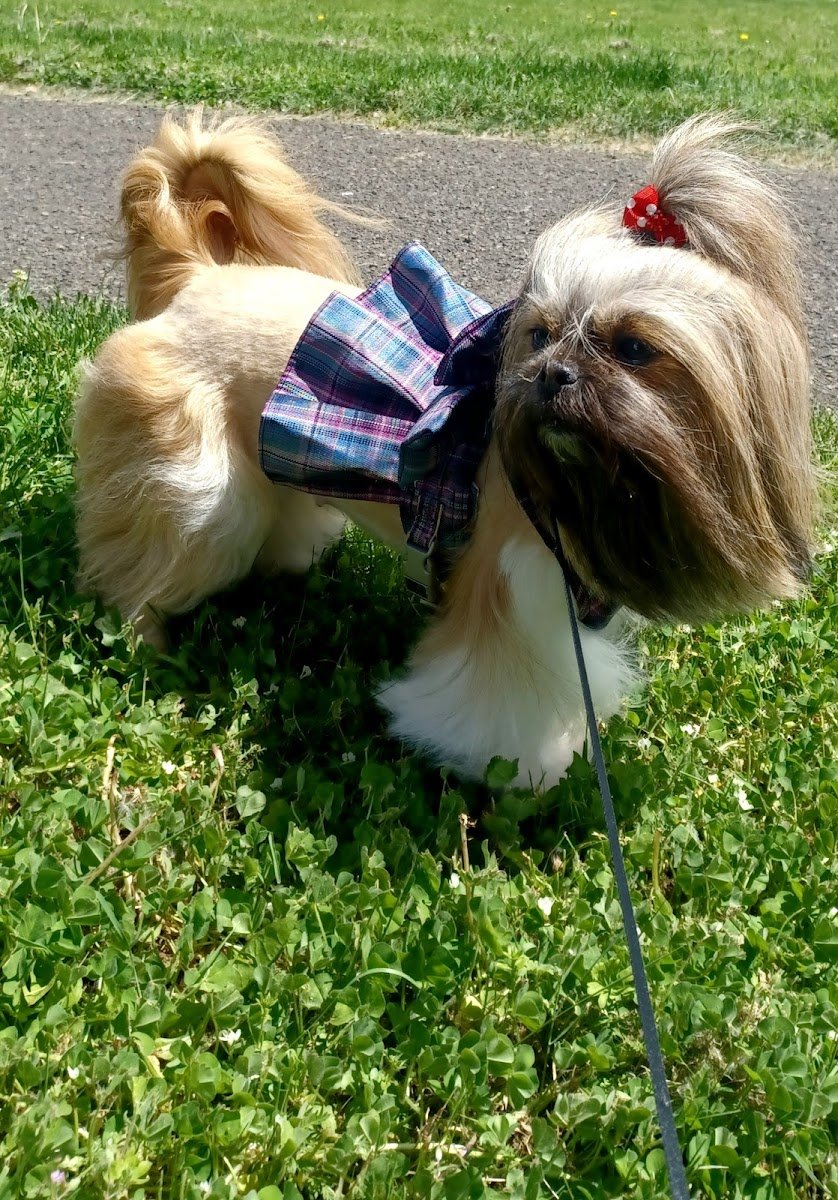 Portland Pet Supply - Photo 2