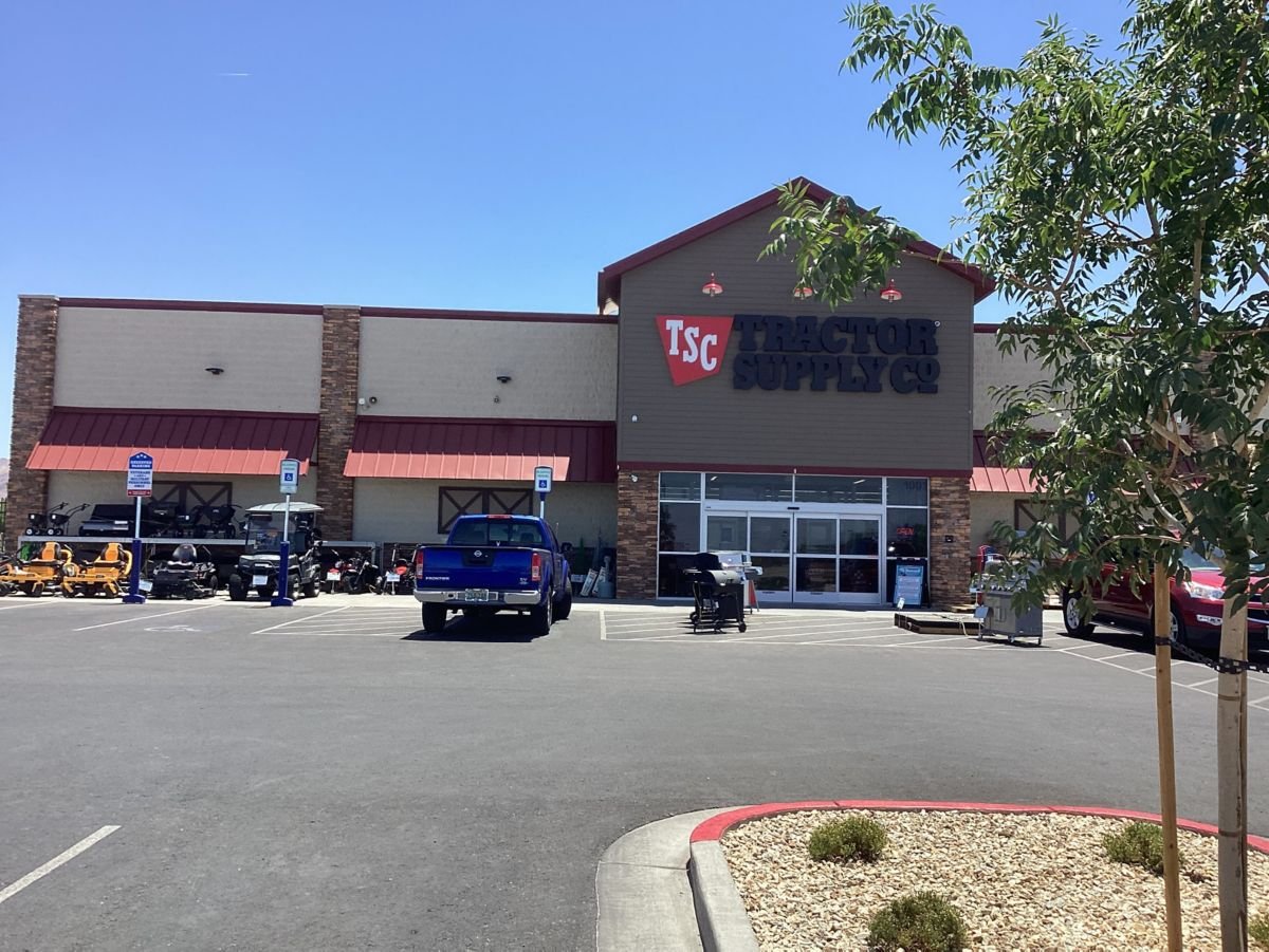 Majestic Mutts - Photo 2