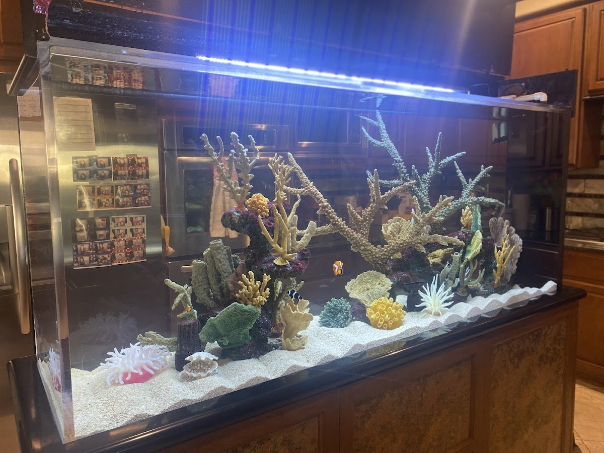 Ocean Images - Photo 2