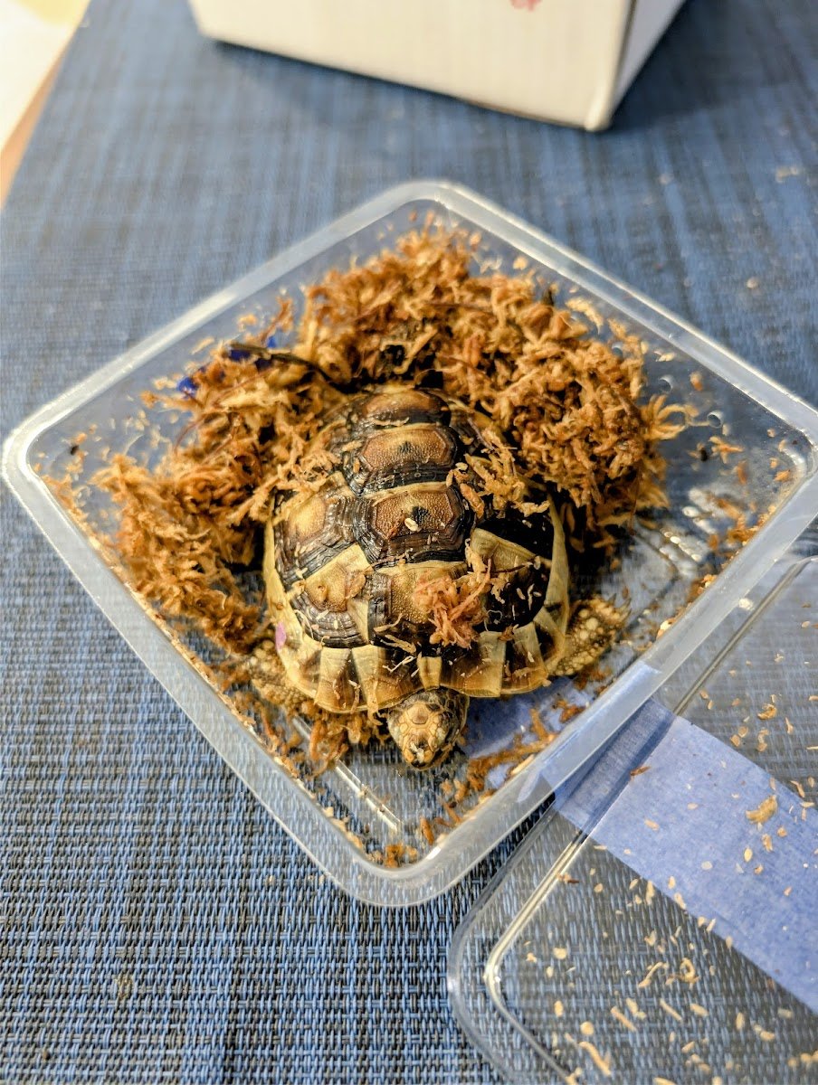 Pet Paradise LV - Photo 2