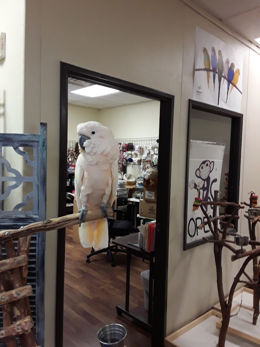 Priscilla's Pantry - Photo 2