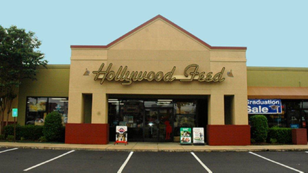 Hollywood Feed - Photo 2