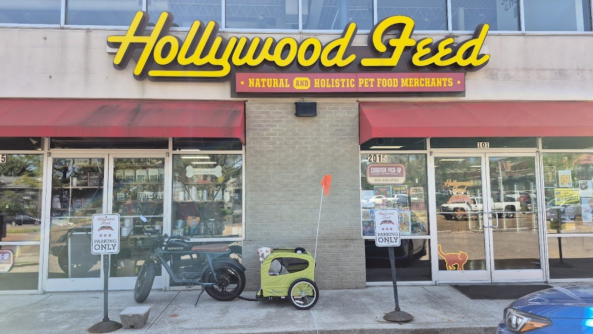 Hollywood Feed - Photo 2