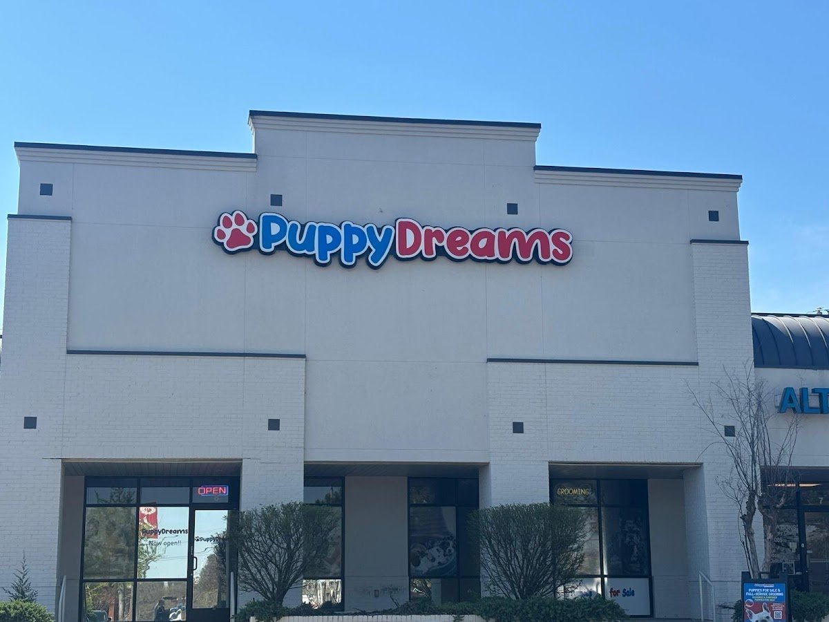 Puppy Dreams - Memphis - Photo 2