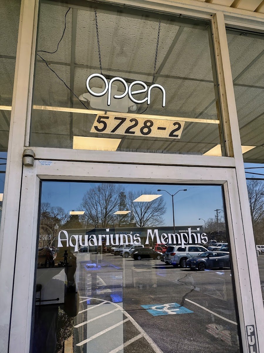 Aquariums Memphis - Photo 2