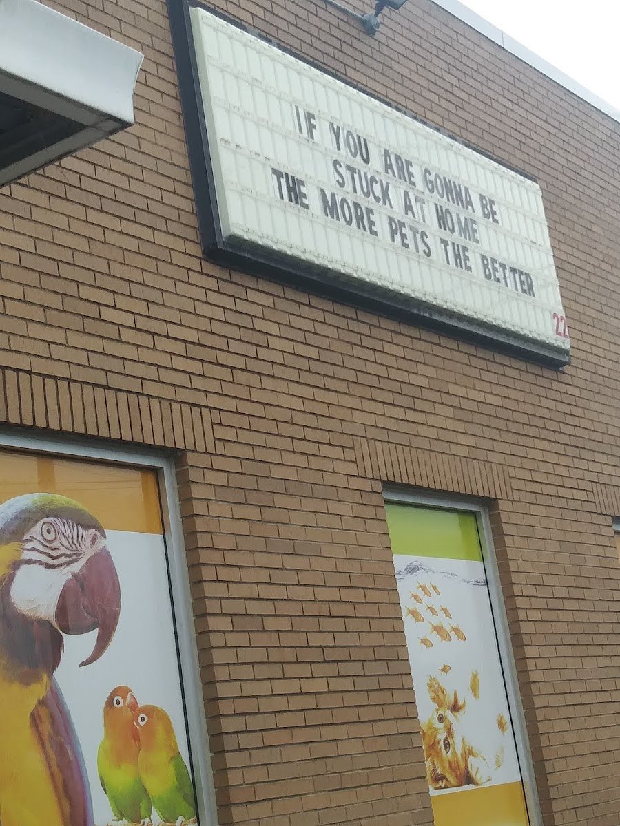 Sandy's Pet Shop - Photo 3