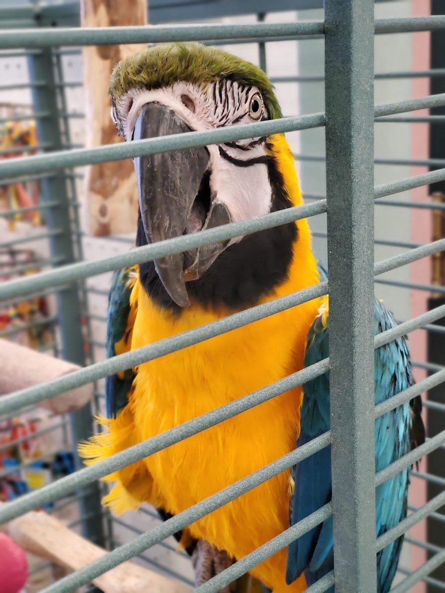 Just for Pets - Photo 2