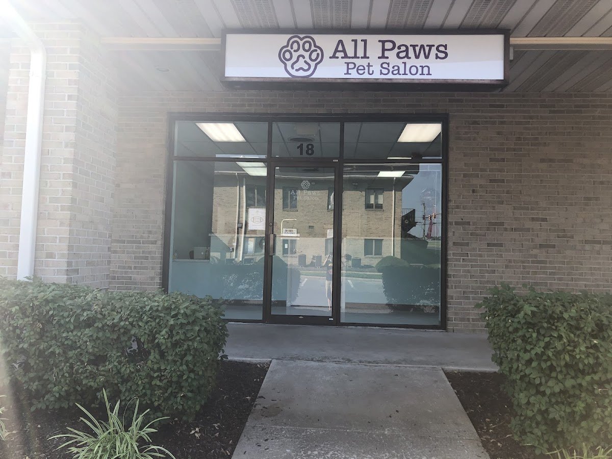 All Paws Pet Salon - Photo 2