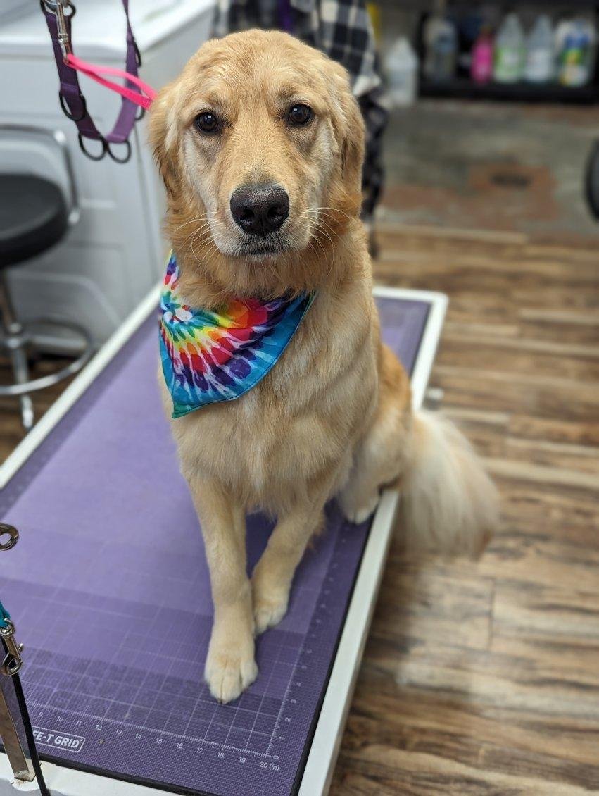 Bentley's Pet Stuff Oak Creek - Photo 2