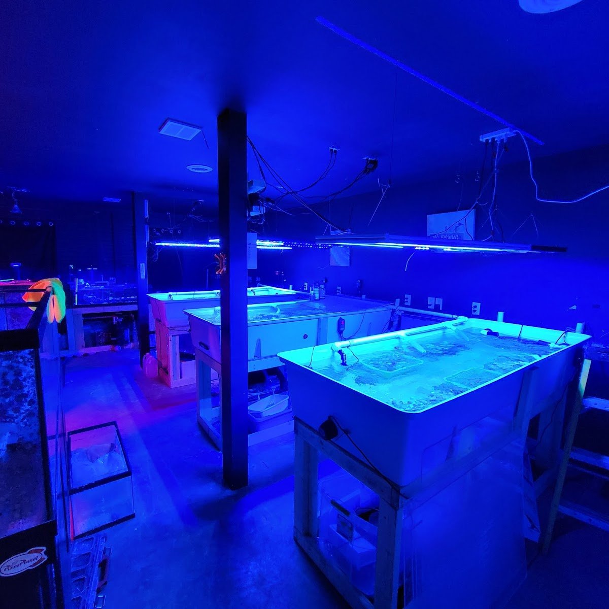 Midwest Aquatics - Photo 2