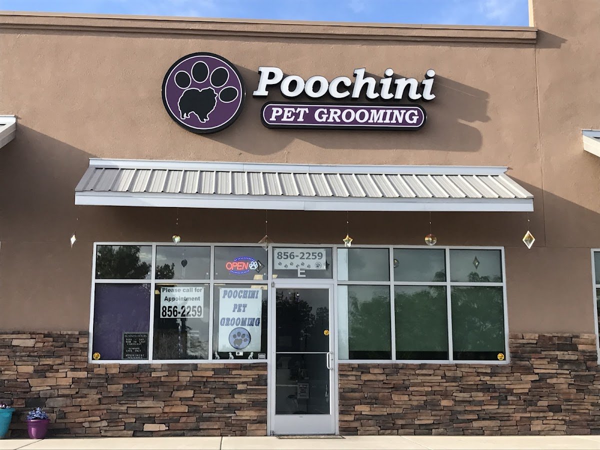 Poochini Pet Grooming - Photo 2