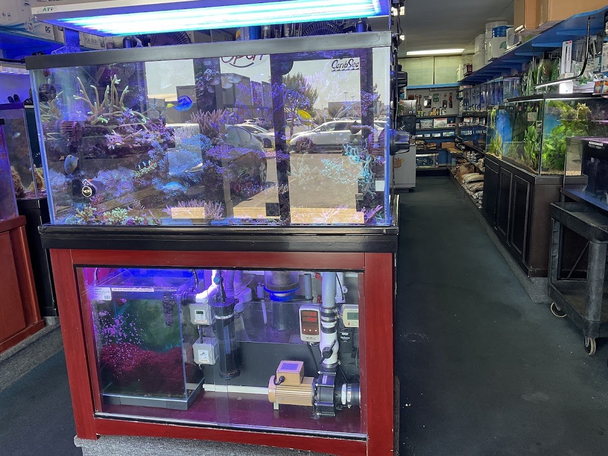 Seven Seas Aquarium - Photo 2