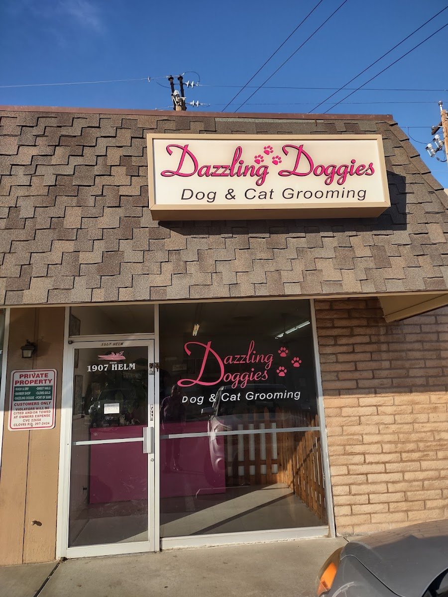 Dazzling Doggies - Photo 2