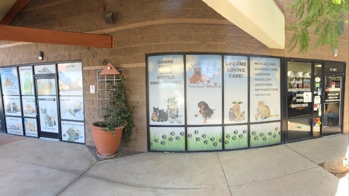 Little Critters Veterinary Hospital - Photo 2