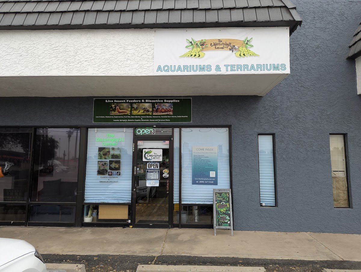 The Chlorophyll Corner - Mesa, AZ - Photo 2