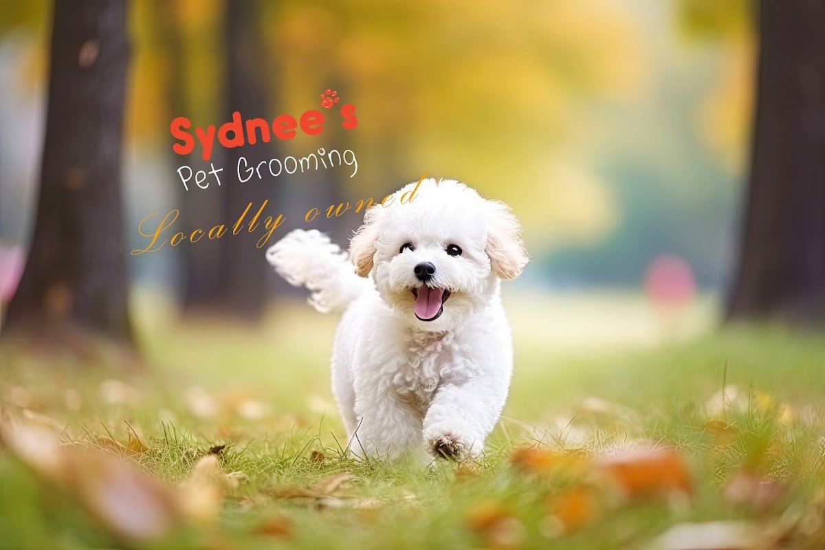 Pets To Go - Photo 2
