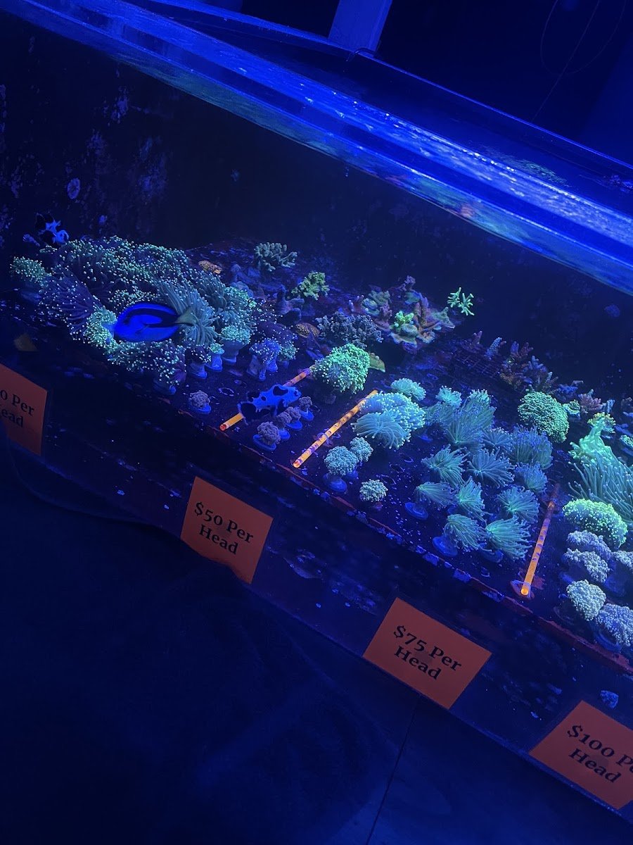 Reef Shac - Photo 2
