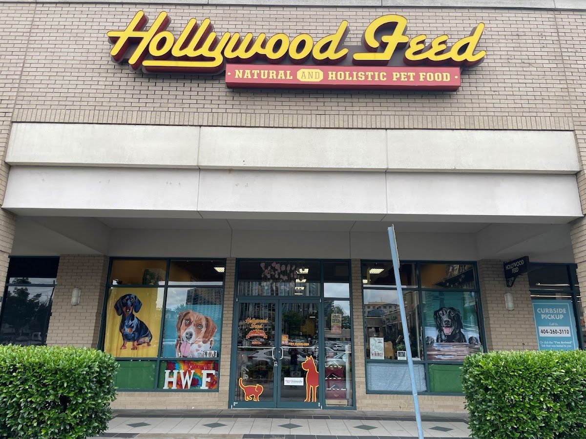 Hollywood Feed - Photo 2