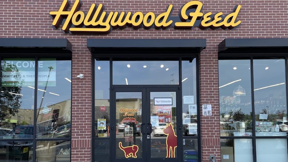 Hollywood Feed - Photo 2
