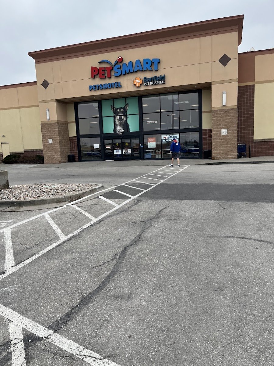 PetSmart - Photo 3